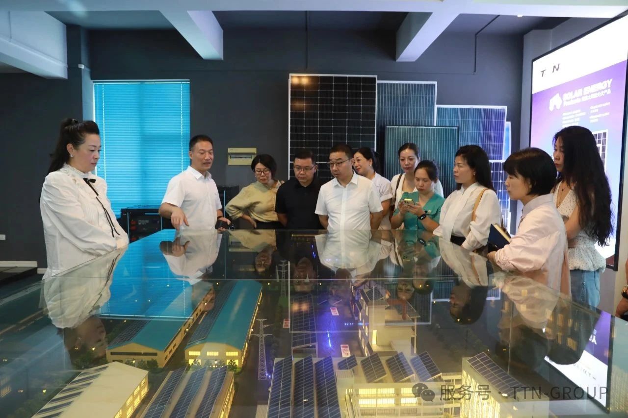 溫州市“一帶一路”青年聯(lián)合委員會(huì)一行蒞臨騰騰電氣參觀交流